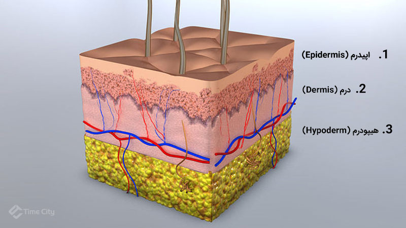 Body skin parts