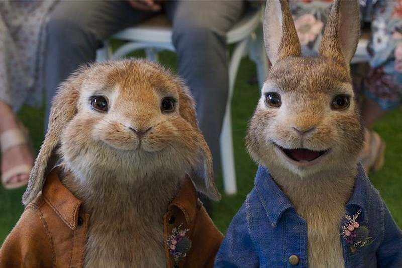 پیتر خرگوشه 2: فراری - Peter Rabbit 2: The Runaway