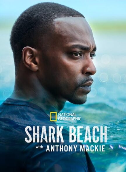 دانلود فیلم ساحل کوسه با آنتونی مکی Shark Beach with Anthony Mackie 2024 7