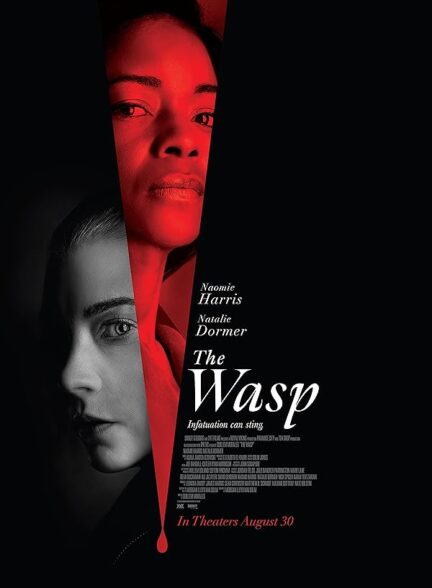 دانلود فیلم زنبور The Wasp 2024