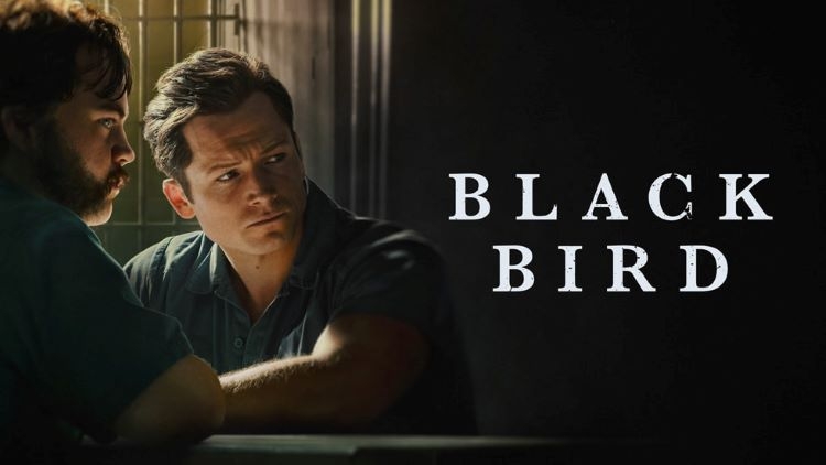 پرنده سیاه – Black Bird