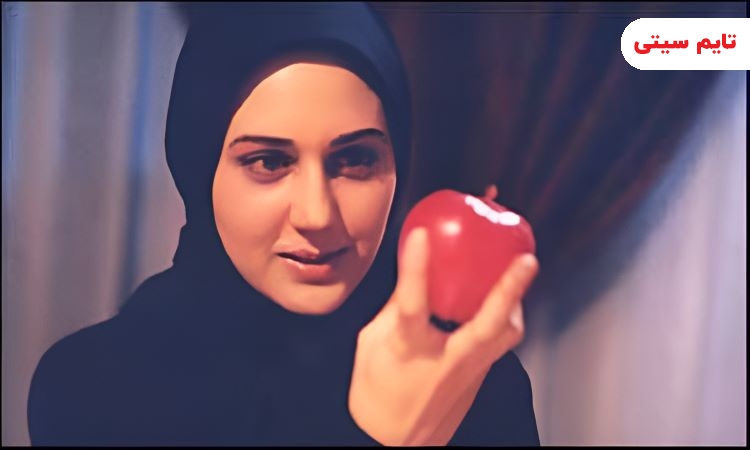 بهترین فیلم های زهرا امیر ابراهیمی ؛ سریال غریبانه