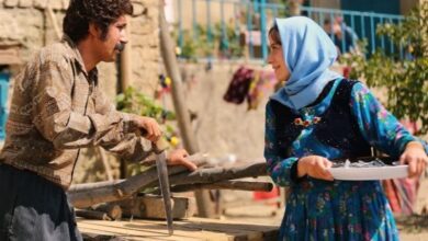 بیوگرافی بازیگران سریال سوران【زمان پخش + خلاصه داستان】