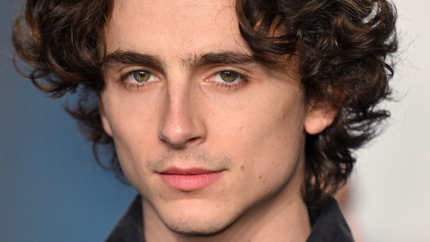 بیوگرافی بازیگران فیلم dune 2 ؛ تیموتی کالامنت - Timothée Chalamet