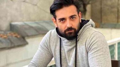 امیر حسین آرمان با دخترخاله خود ازدواج کرد ؛ بیوگرافی همسر + تصاویر دونفره 25 amir hossein arman