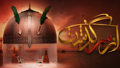 زمان پخش برنامه از سرگذشت شبکه نسیم 【ساعت تکرار + جزئیات برنامه】