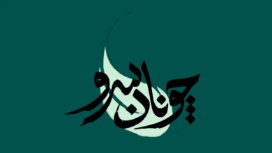 زمان پخش چنان سرو از شبکه مستند