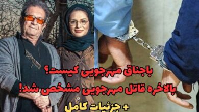 باجناق مهرجویی کیست؟ | بالاخره قاتل مهرجویی مشخص شد + عکس قاتل 1 باجناق مهرجویی کیست؟ بالاخره قاتل مهرجویی مشخص شد + جزئیات کامل