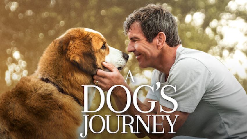 بهترین فیلم درباره مرگ ؛ هدف یک سگ - A Dog’s Purpose