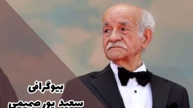 بیوگرافی سعید پور صمیمی (زندگی شخصی + آثار)