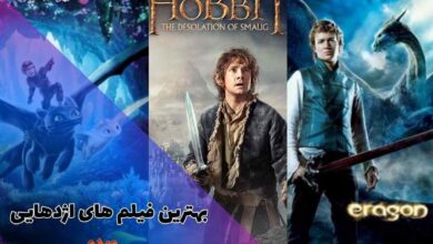 9 مورد از بهترین فیلم های اژدهایی که نباید از دست دهید 66 بهترین فیلم های اژدهایی که نباید از دست دهد