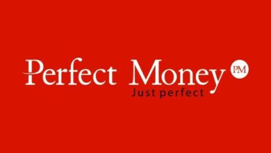 3 راه برای کسب درآمد دلاری از پرفکت مانی 16 3 راه برای کسب درآمد دلاری از پرفکت مانی