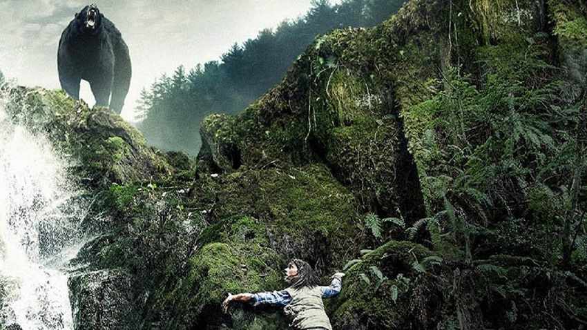 سرزمین پشتی، یکی از فیلم‌های ترسناک جنگلی که در آن شخصیت‌ها با خطراتی غیرمنتظره در دل جنگل مواجه می‌شوند.