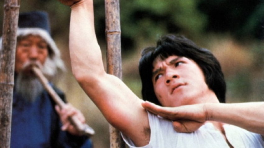 مار در سایه عقاب (Snake in the Eagle’s Shadow) یکی از بهترین فیلم های رزمی چینی قدیمی است که سبک مار را در هنرهای رزمی معرفی کرد و نقطه عطفی در کارنامه جکی چان محسوب می‌شود. 