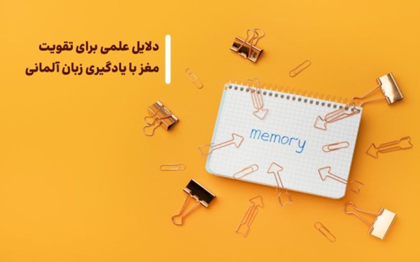 دلایل علمی تقویت مغز با یادگیری آلمانی