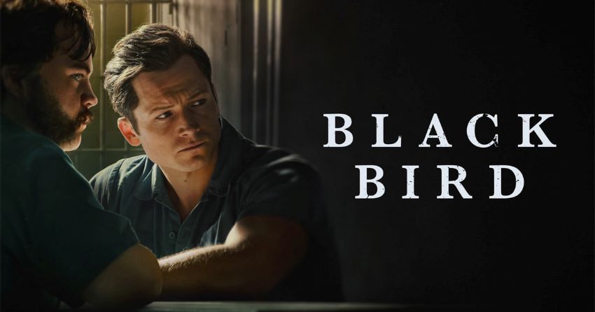 پرنده سیاه - Black Bird جزو جذاب‌ترین و برترین مینی‌سریال‌های جهان است که ارزش تماشا دارد.