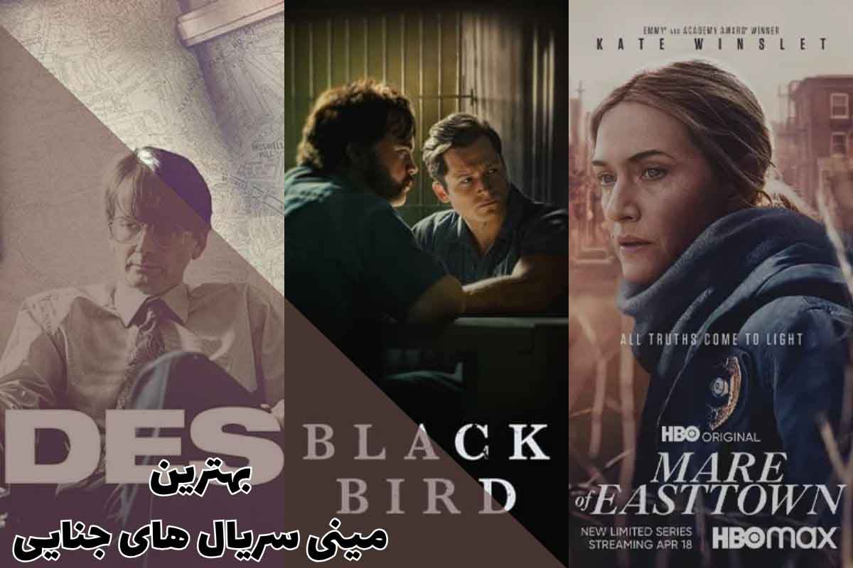 Best Crime Mini Series 1