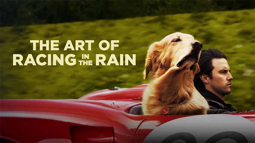 فیلم هنر مسابقه در باران - The Art of Racing in the Rain