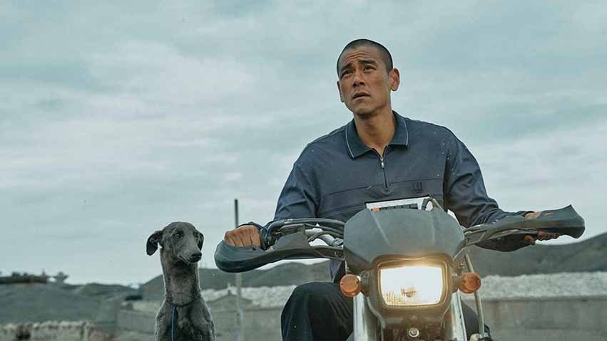 سگ سیاه - Black Dog یکی از بهترین فیلم های چینی است