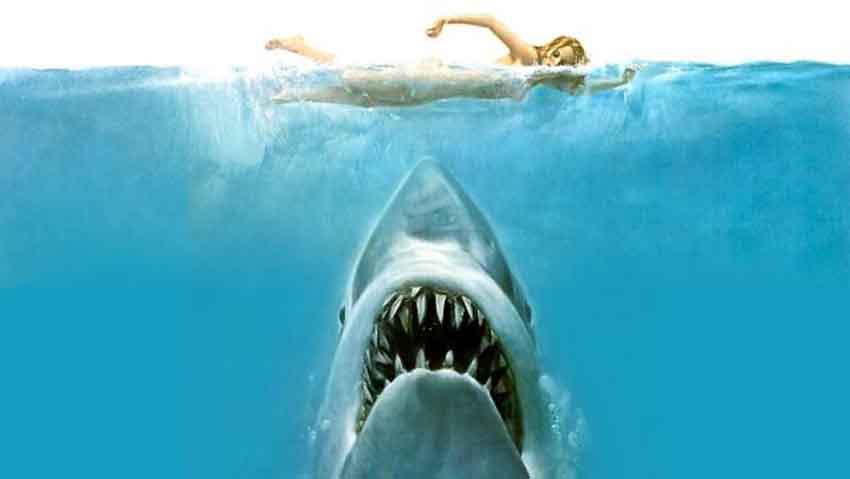 فیلم آرواره‌ها – Jaws با دریافت ۳ جایزه اسکار و تحسین منتقدان، نمونه‌ای شاخص از فیلم‌های اقتباسی از رمان خارجی است.